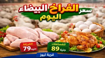 شاهد البلدي والساسو بكام.. سعر الفراخ البيضاء اليوم السبت 11 أبريل 2026 وتوقعات الفترة المقبلة